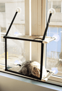 Cat hammock suction cup for window - Silvis21 ™