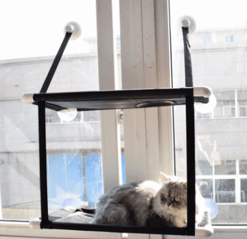 Cat hammock suction cup for window - Silvis21 ™