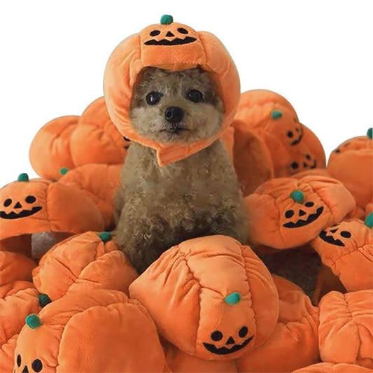 Cute Pet Hat Halloween Pumpkin - Silvis21 ™