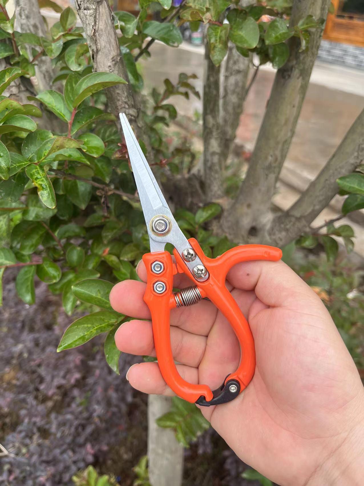 Multifunctional Garden Scissors - Silvis21 ™