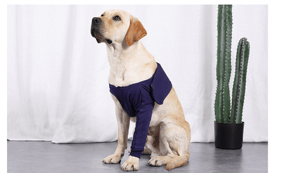 New Anti-licking Sleeve For Postoperative Recovery Of Dog Legs Pet - Silvis21 ™