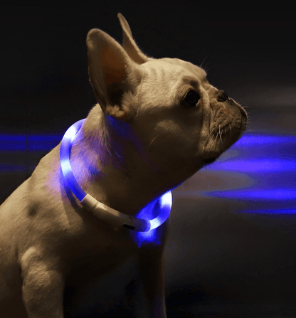 Pet Light Collar Anti-Lost Collar for Dogs Pet Collars - Silvis21 ™