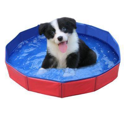 Pet Wading Pool Folding Bath Tub - Silvis21 ™