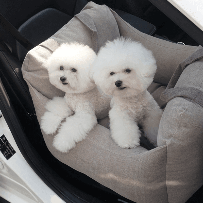 Portable Car Seat for pets - Silvis21 ™