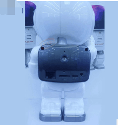Silvis21™ Astronaut Camera - Silvis21 ™